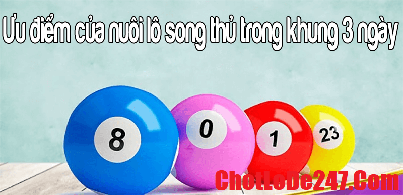 Ưu điểm và nhược điểm khi nuôi song thủ lô khung 3 ngày